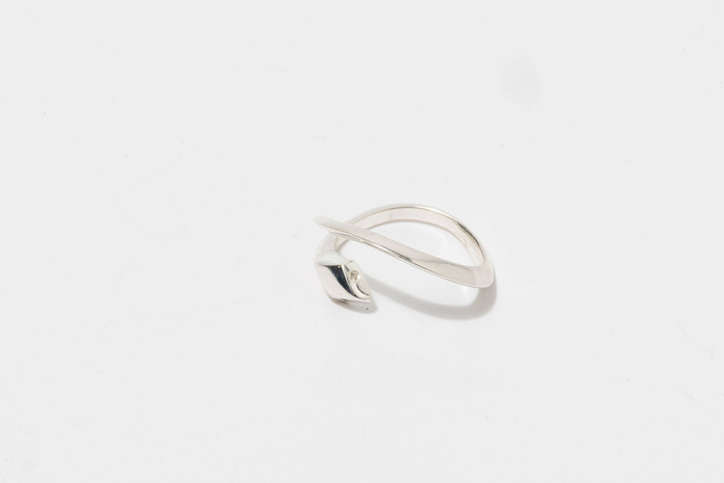Anillo IUWA