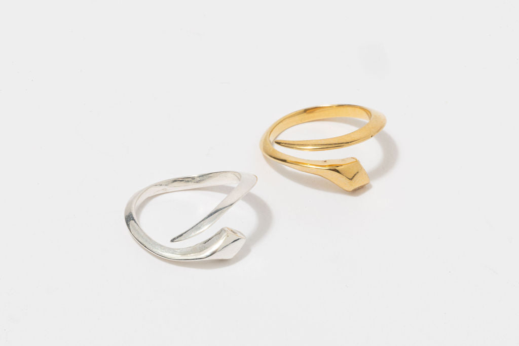 Anillo IUWA