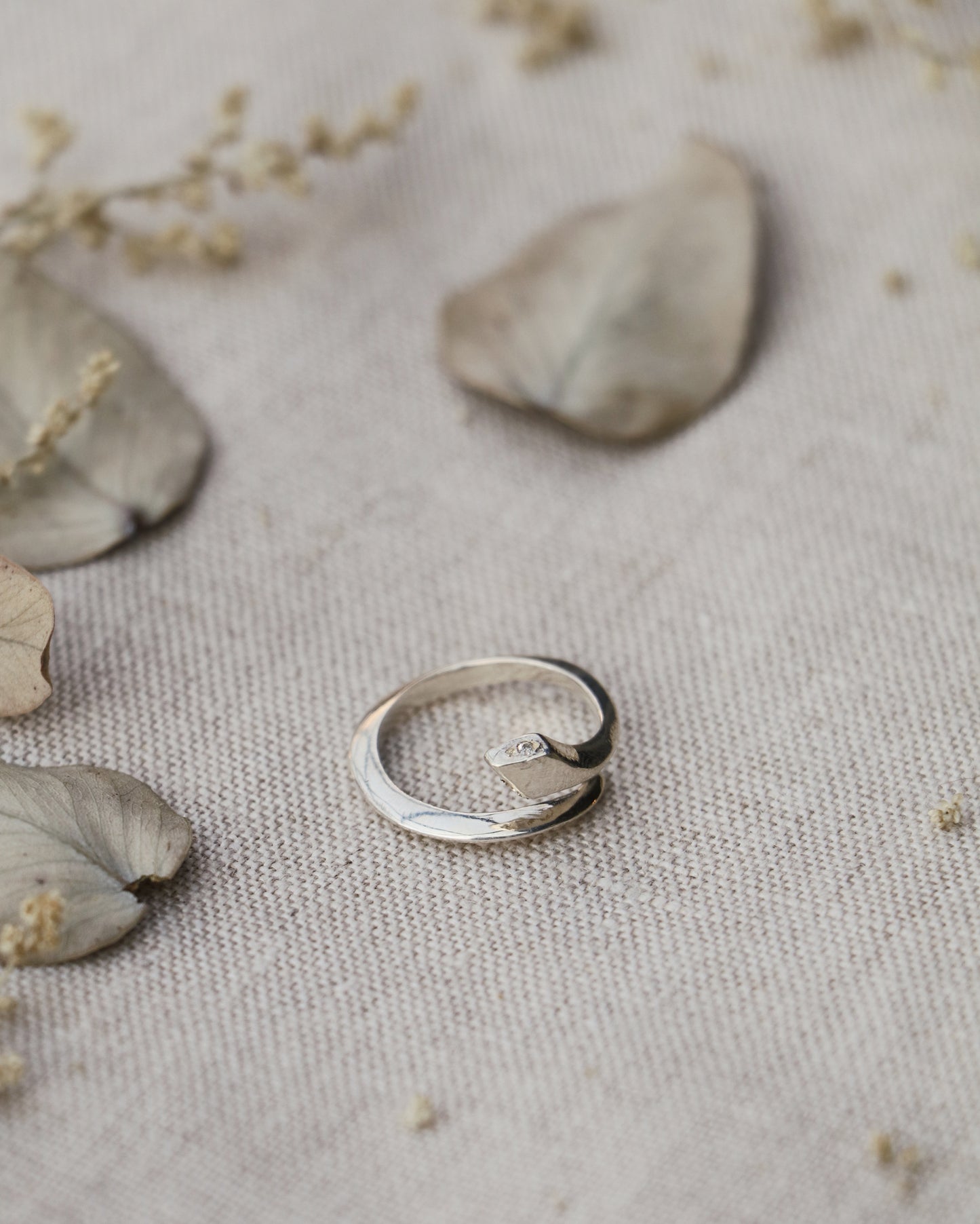 Anillo IUWA