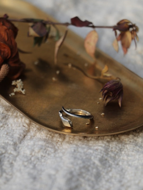 Anillo IUWA