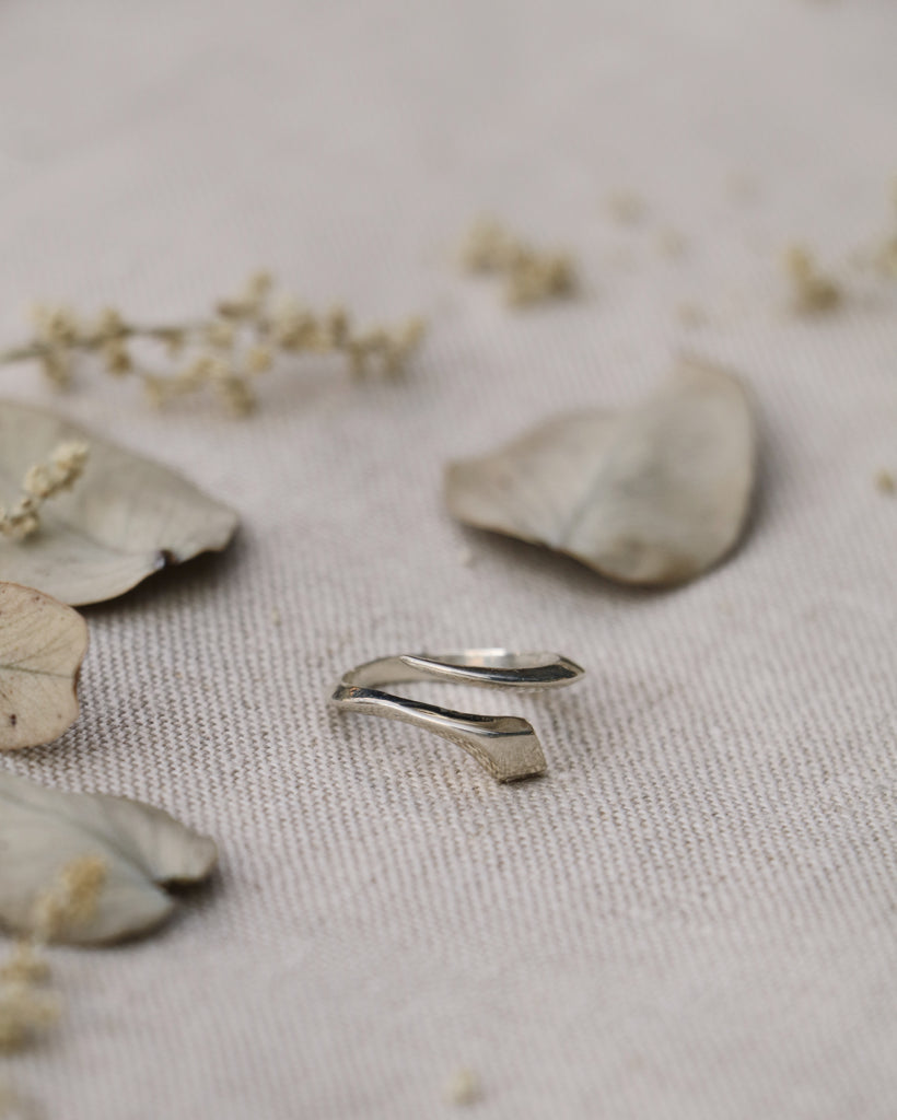 Anillo IUWA