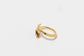 Anillo IUWA