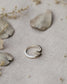 Anillo IUWA