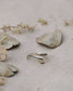 Anillo IUWA